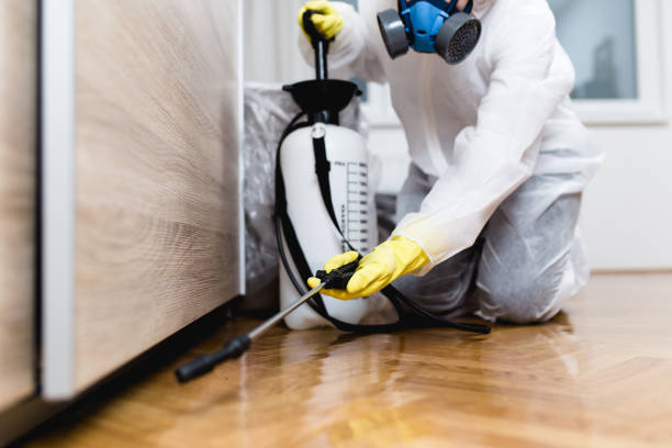Best Local Pest Control Services  in South Miami, FL