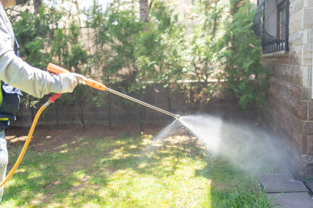 Best Affordable Pest Control Services  in South Miami, FL