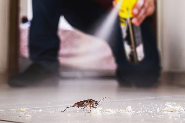 Best Pest Control Near Me  in South Miami, FL
