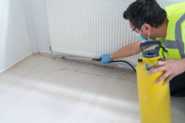 Best Pest Prevention Services  in South Miami, FL