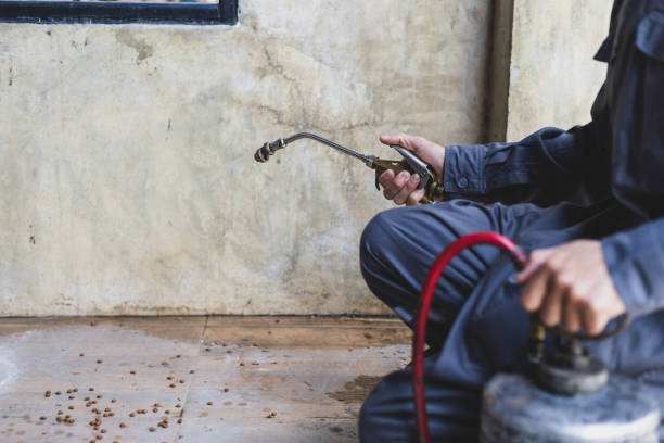 Best Best Pest Control Companies  in South Miami, FL